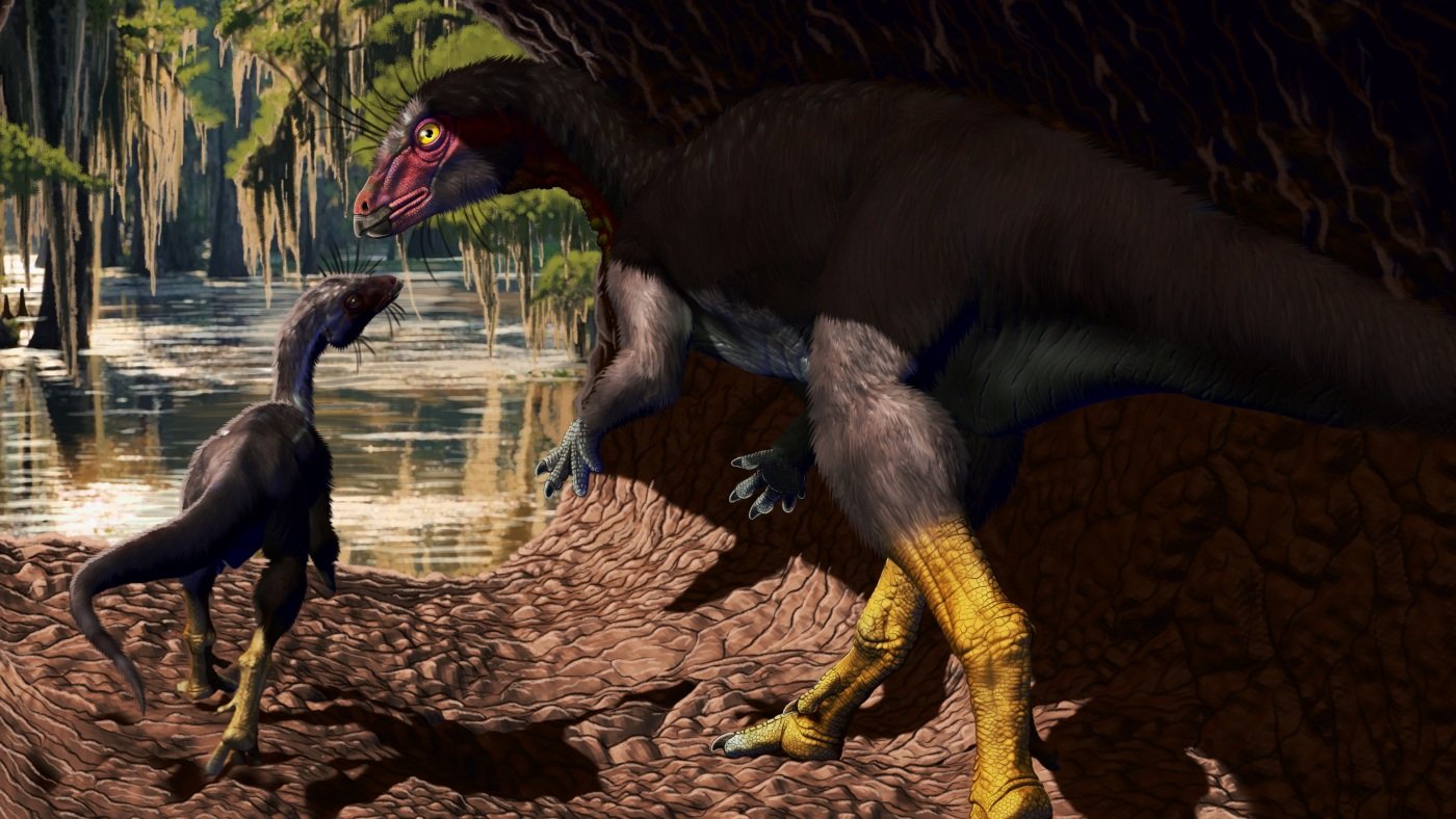 A newly-discovered dinosaur may have spent part of its life underground