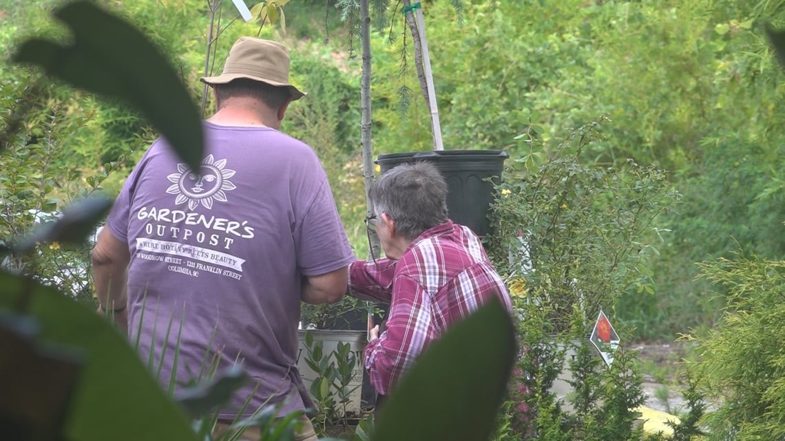 South Carolina drought stresses gardens: Expert tips to cope