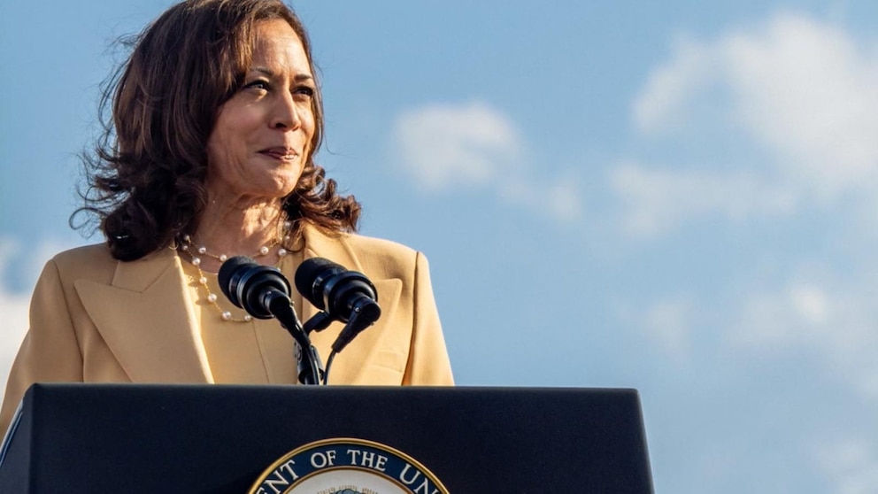 WATCH: Harris works to win over Democratic donors