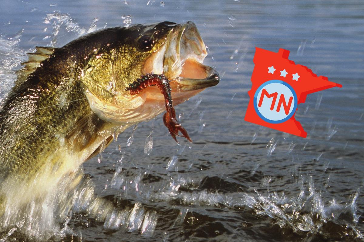 Where Does Minnesota Rank Among Best Fishing States in America?