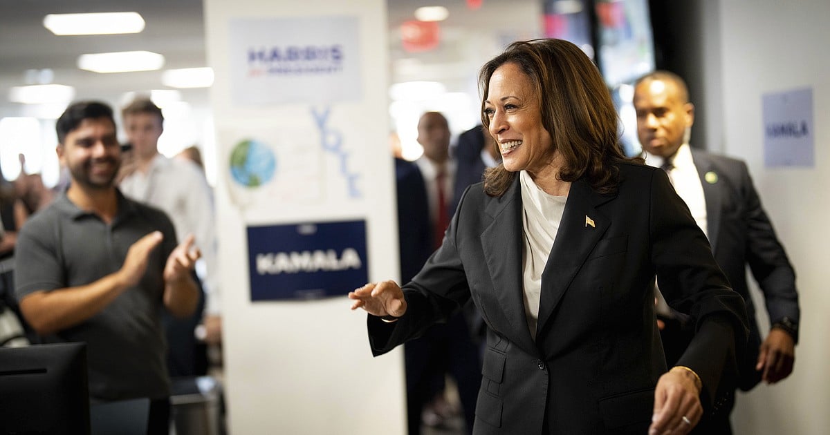 Idaho Democratic party convention delegates unanimously endorse Kamala Harris