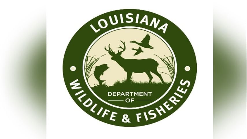 LDWF investigating fatal boating crash in St. Mary Parish that left one man dead