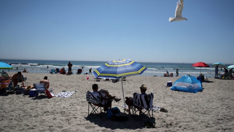 See which 42 Mass. beaches are closed this weekend