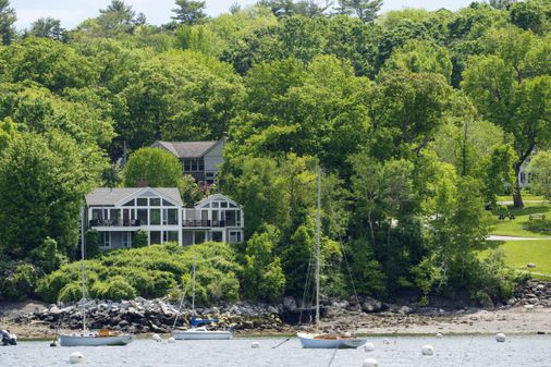 In Maine, couple poisoned neighbor’s trees for view. Is it a crime?