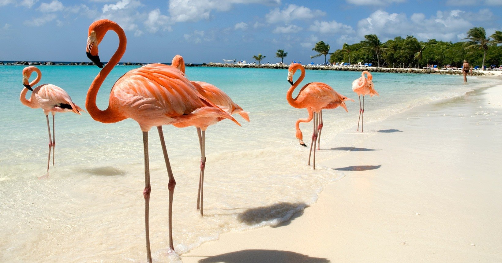 Partiu Caribe! Passagens aéreas para Aruba ou Costa Rica a partir de 33 mil pontos