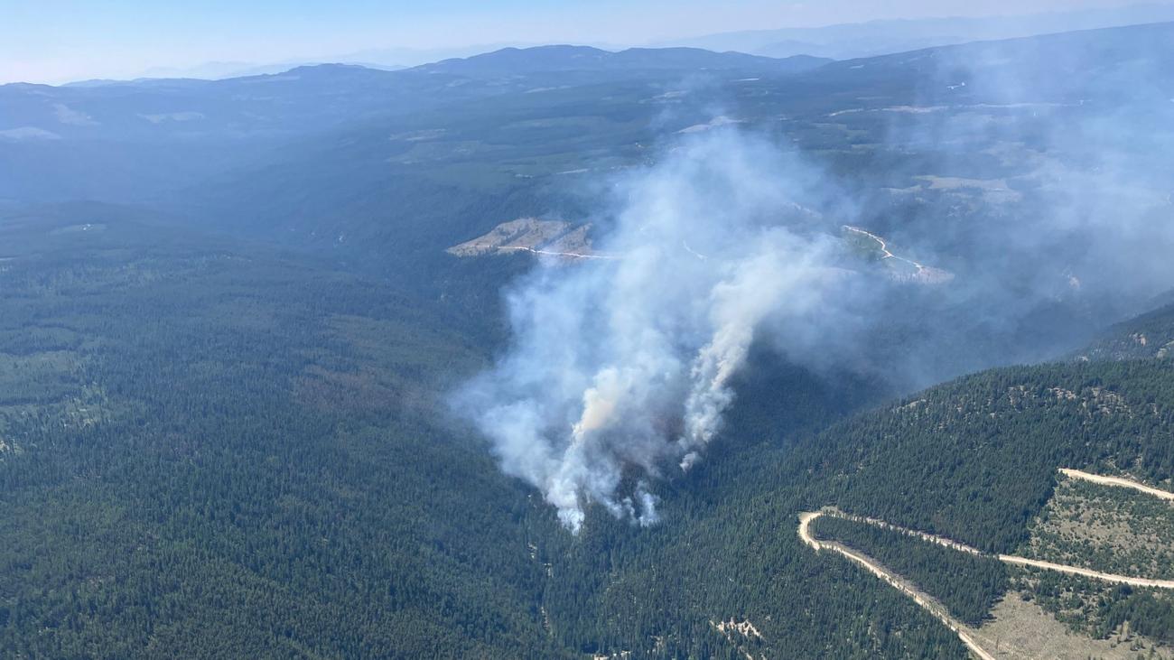 Zerstörerische Feuer: Zahlreiche Waldbrände in den USA und in Kanada