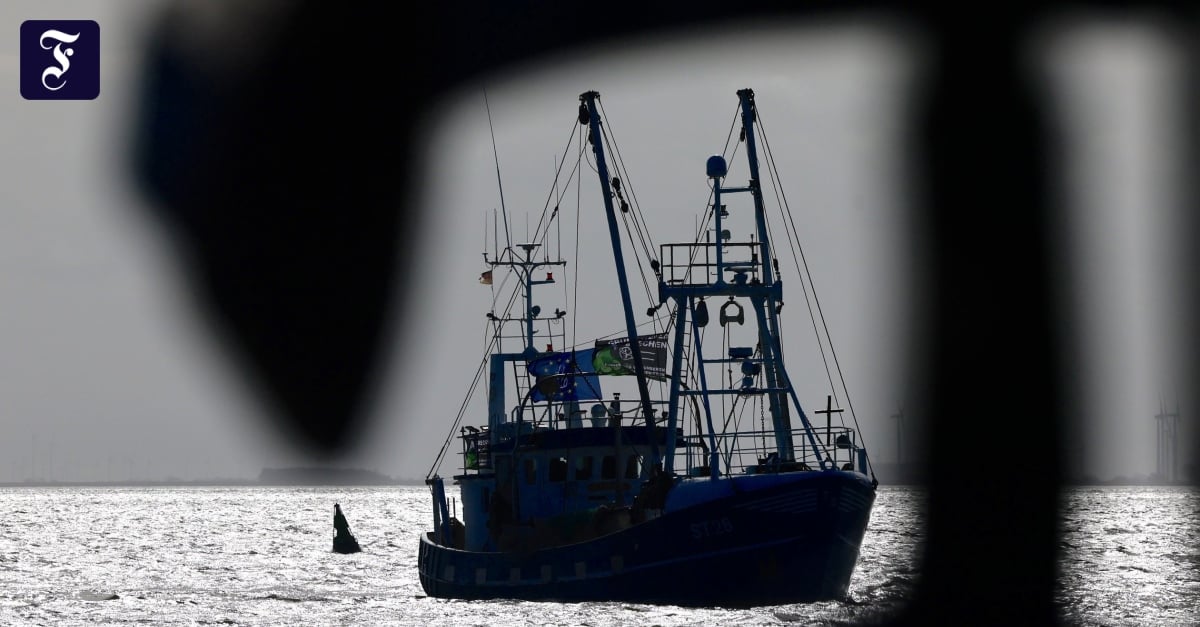 Fischerschiff nahe der Falklandinseln gesunken – mindestens drei Tote