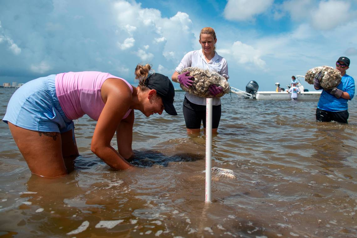 Students, Gulf Coast community come together to try and save our Mississippi Sound