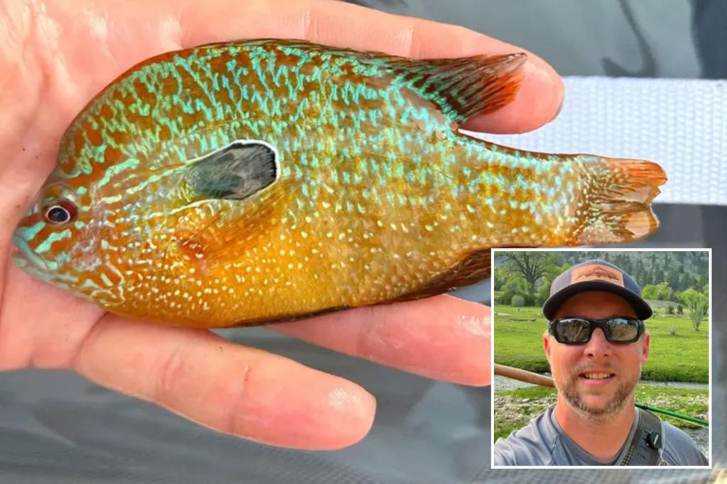 Nebraska fisherman reels in new fish species in state