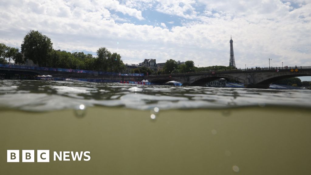 ‘It doesn’t look that bad’: Would you swim in the Seine?