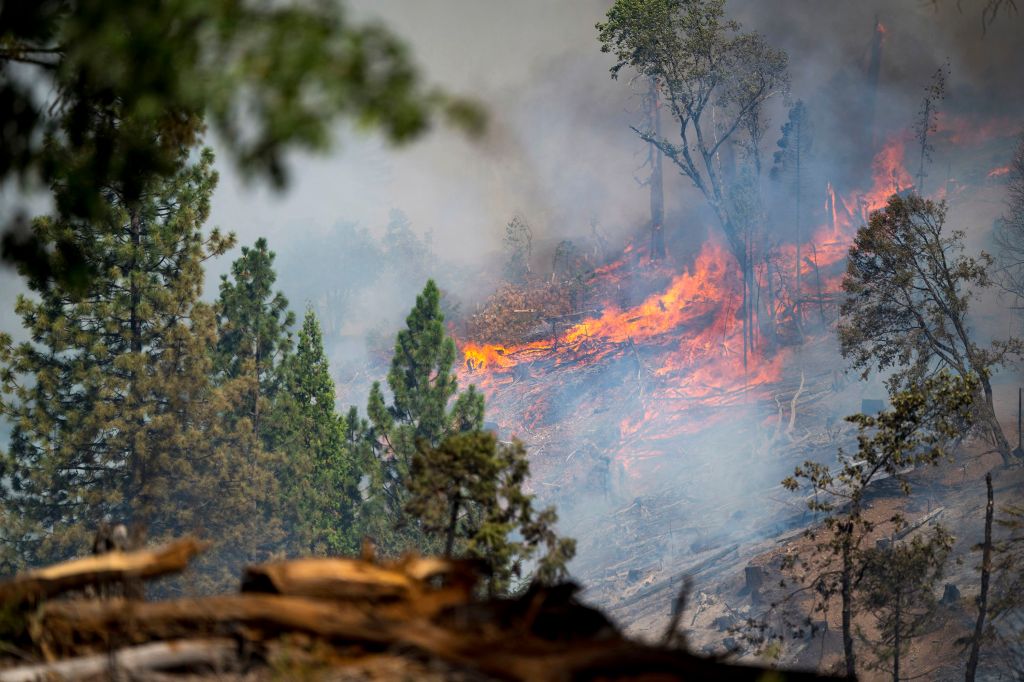 A historic California ghost town is decimated as the Park Fire and other massive wildfires rage