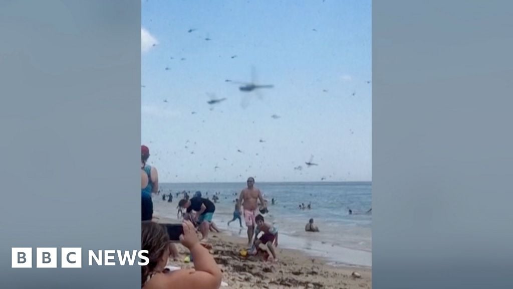 Hundreds of thousands of dragonflies swarm beachgoers