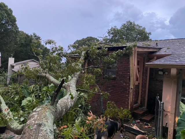 Severe storms tear through north Georgia, downing trees and power lines