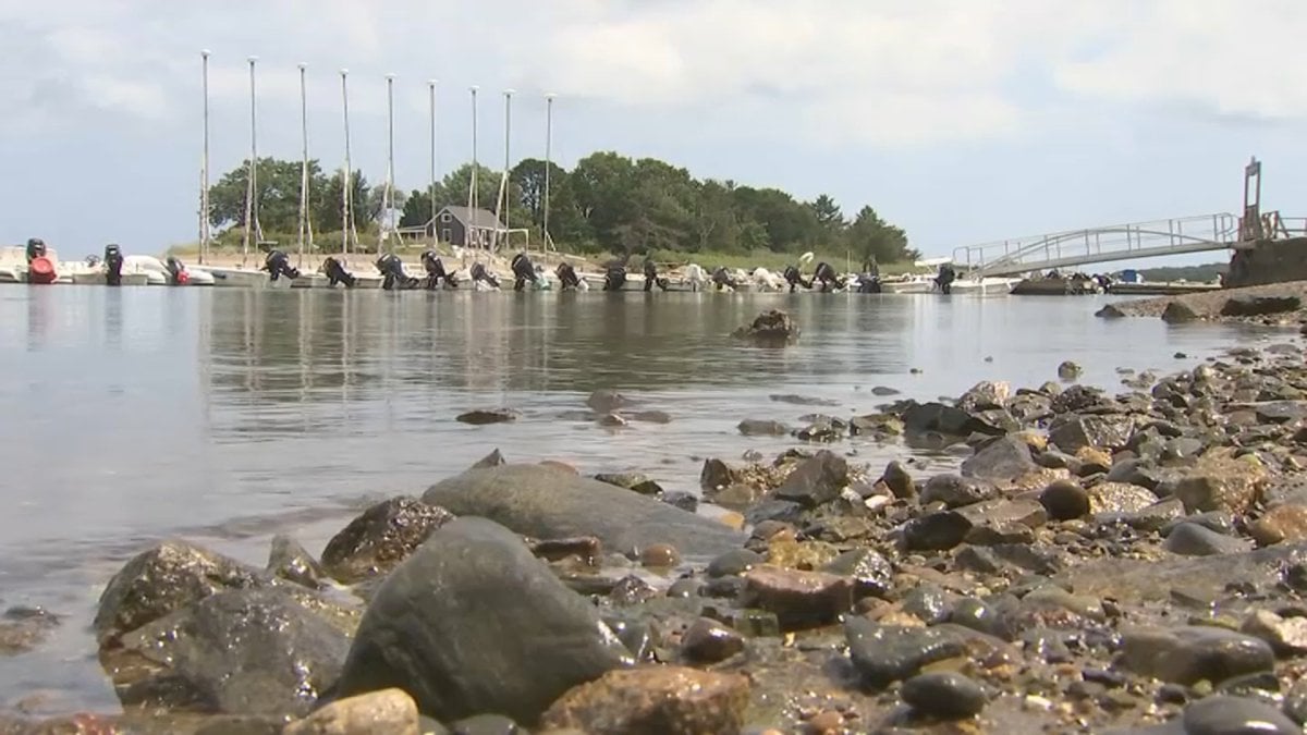 South Shore towns feuding over oyster farms