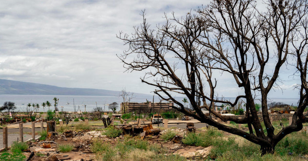 Nearly one year on, the mental toll of the deadly Lahaina wildfire lingers