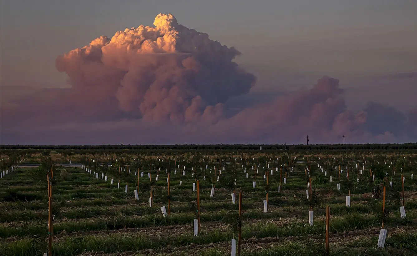 California’s Park Fire Is Creating Smoke Thunderclouds