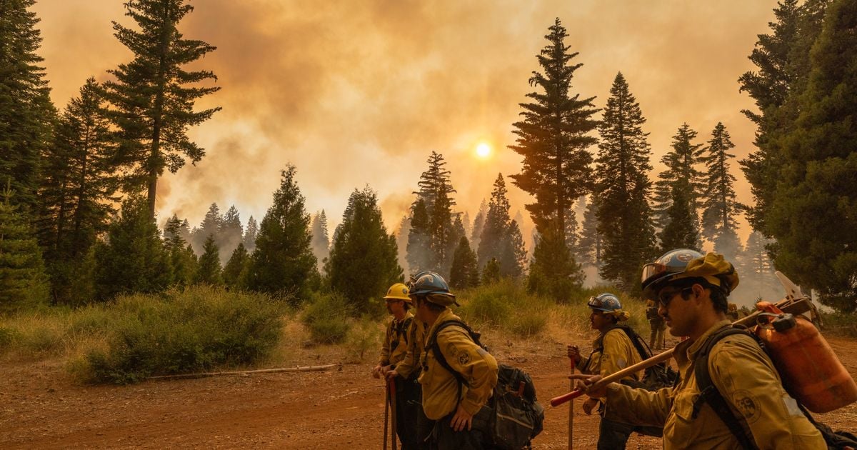 California's Park Fire Is Now One Of The State's Largest On Record