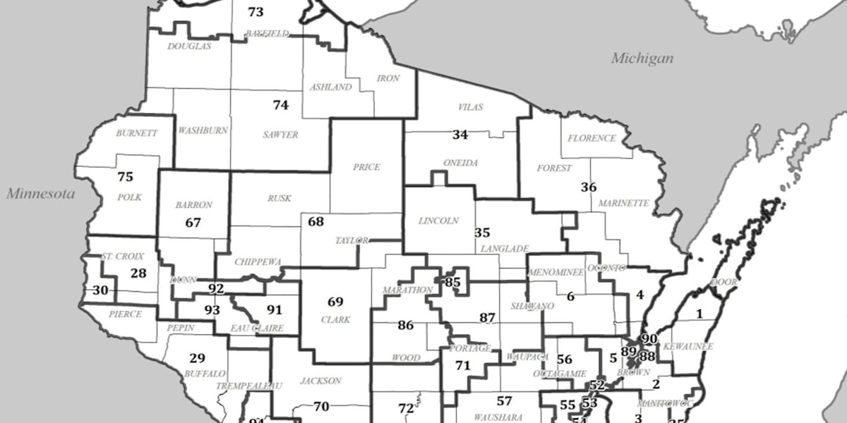 Potential impacts of new state legislative maps