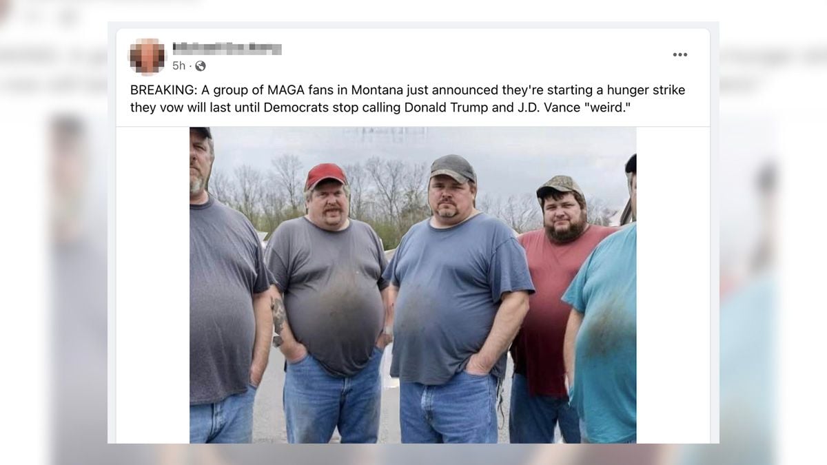 'MAGA Fans' Announced Hunger Strike Over Democrats Calling Trump and Vance 'Weird'?
