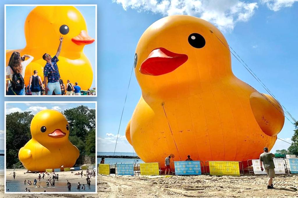 World's largest rubber ducky lands in New York this week