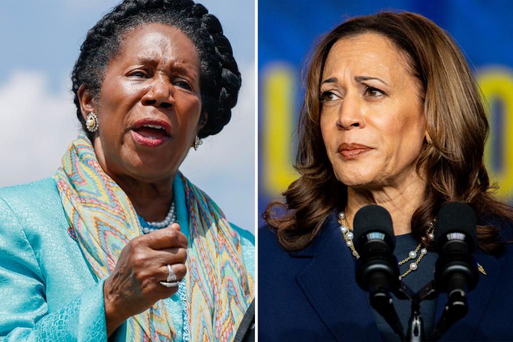 Kamala Harris accidentally calls herself the 'president' during late Dem Rep. Sheila Jackson Lee's eulogy