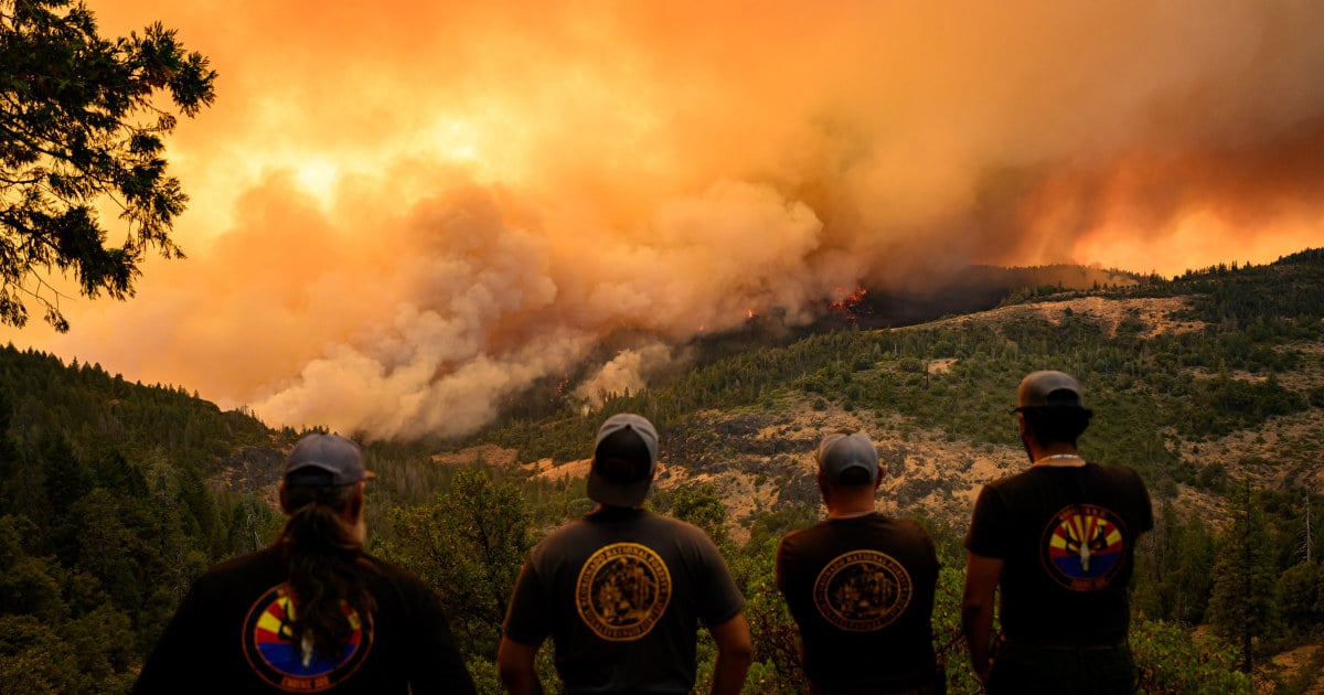 Wildfire smoke is probably harming your brain