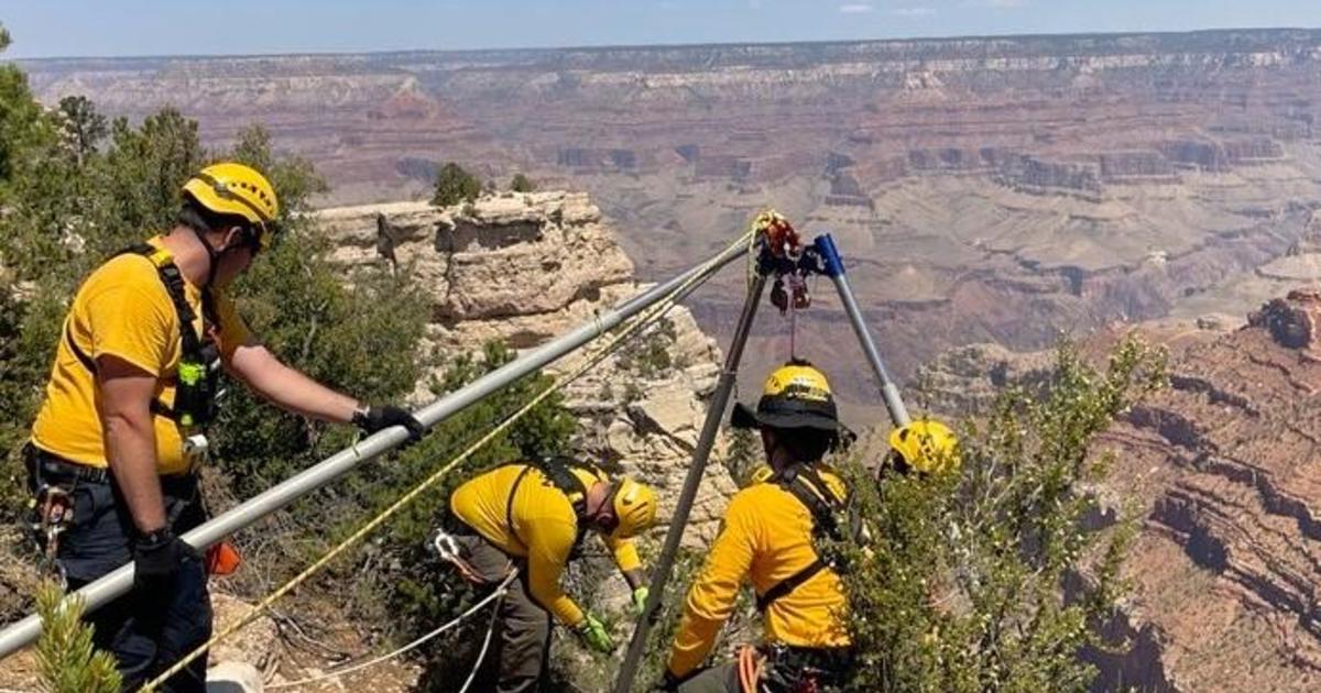 North Carolina college student falls 400 feet to his death at Grand Canyon National Park