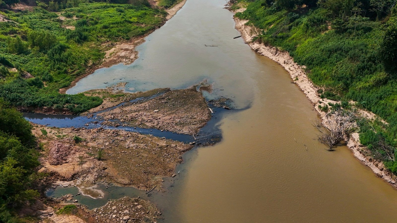 Severe drought has returned to the Amazon. And it's happening earlier than expected