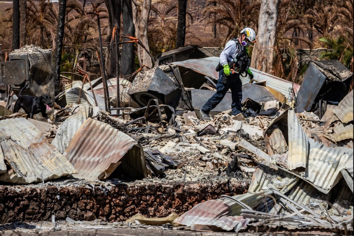 $4B settlement offer for Maui wildfire victims announced