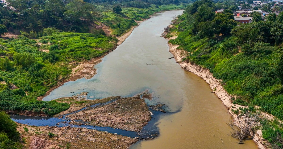Severe drought has returned to the Amazon. And it’s happening earlier than expected