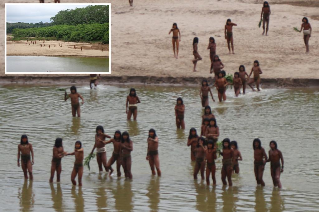 Striking footage shows rare isolated Amazon tribe emerge from forest near loggers