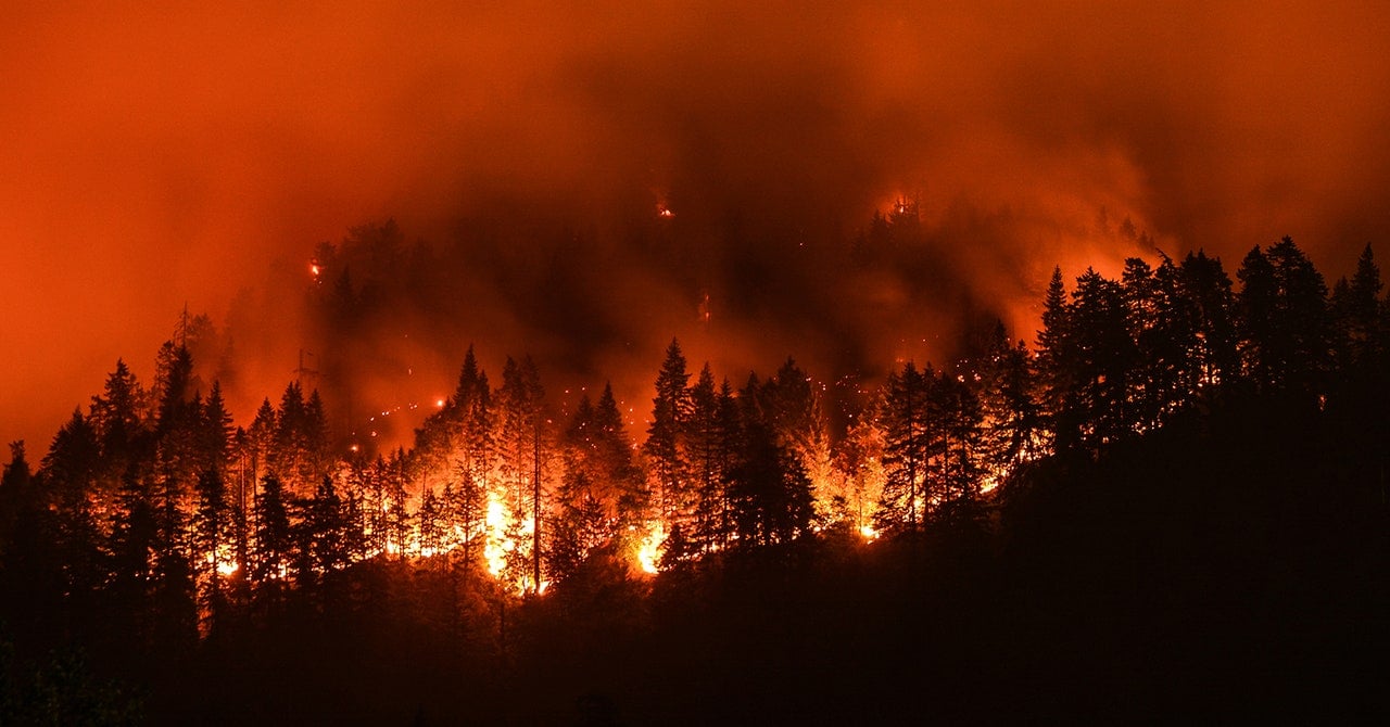 Extreme Wildfires Have Doubled in Frequency and Intensity in the Past 20 Years