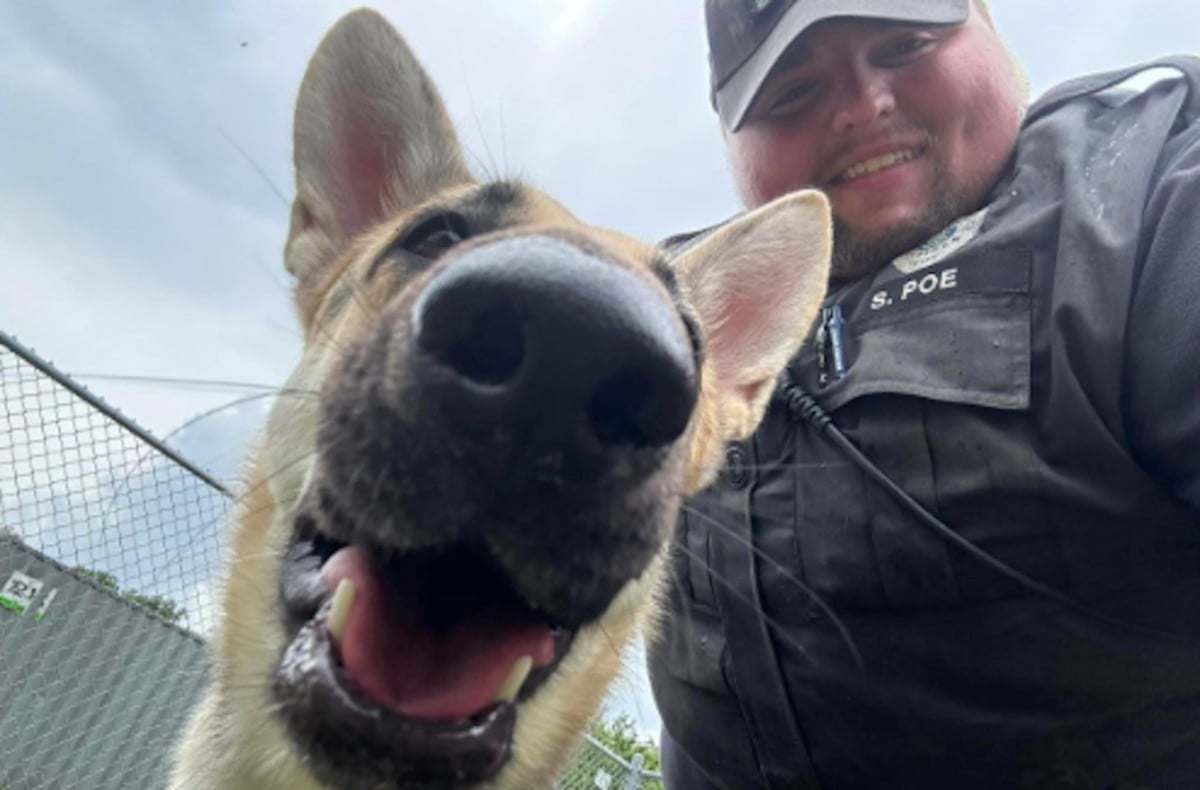 Dog in Hot Car in Indiana Honks Horn To Alert Police Officer to Save Her