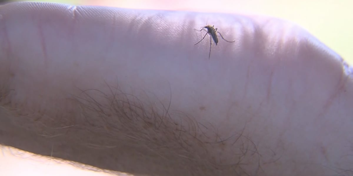 First Confirmed West Nile Virus Activity in Wisconsin