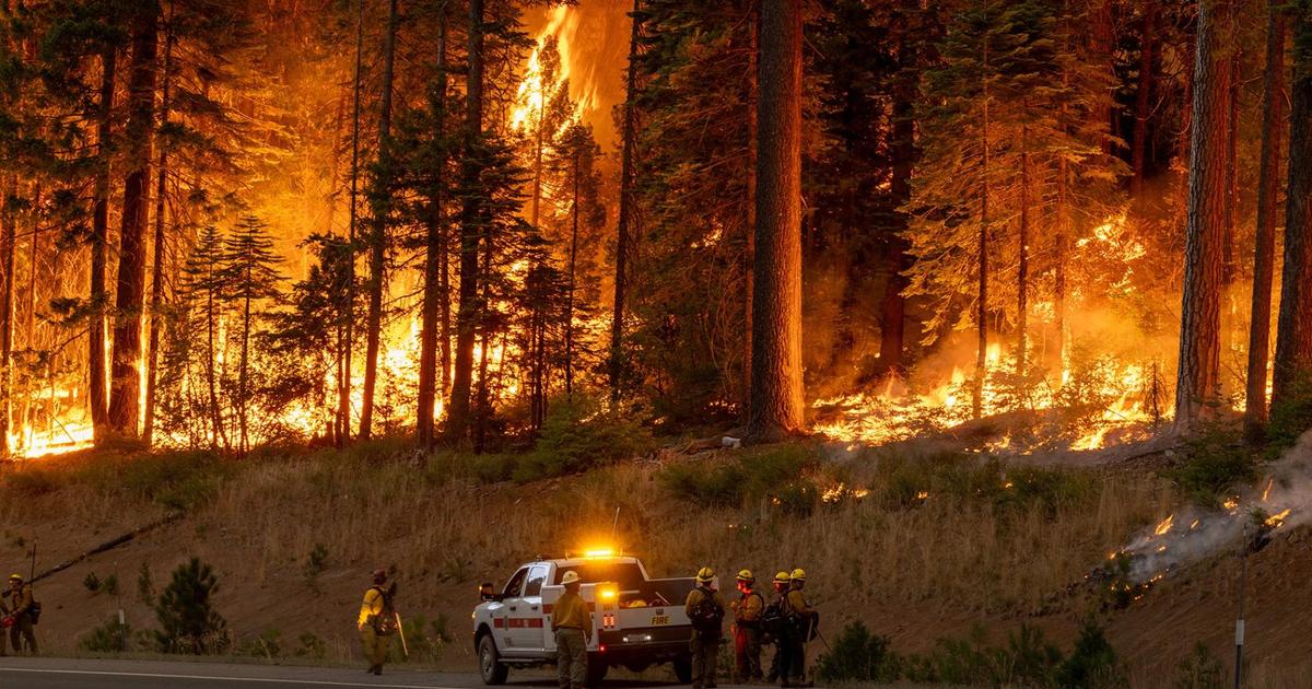 California's Park Fire grows to one of largest in state history