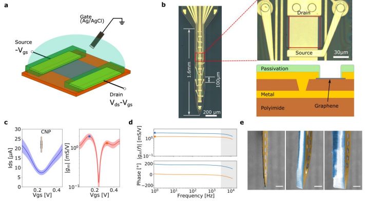 Brain Implant Uses Graphene Instead of Metal Probes