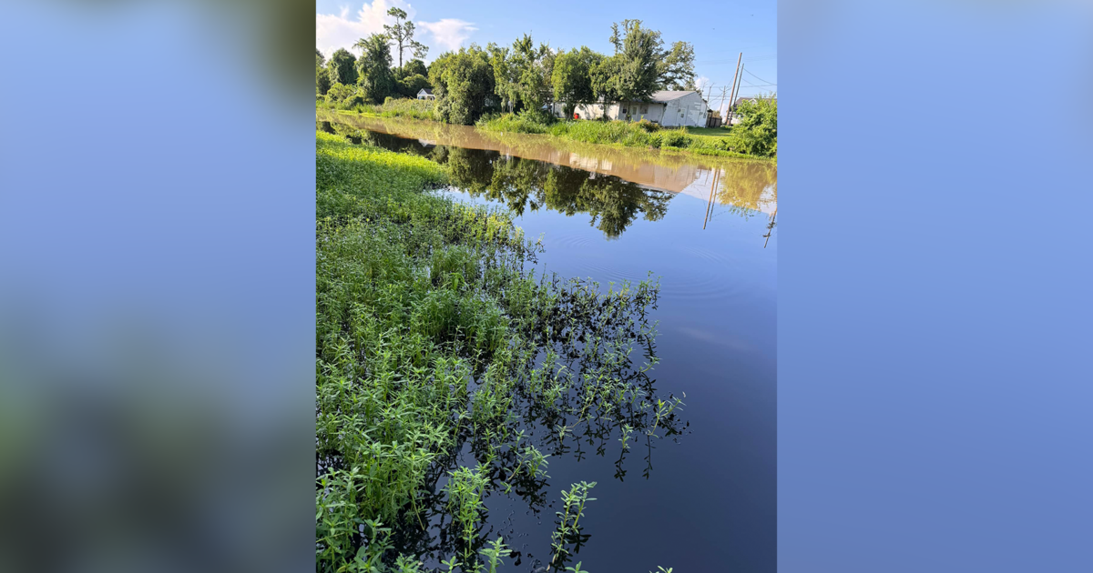 Oil spill by Louisiana energy company prompts water notice, kills wildlife, as diesel odor permeates bayou