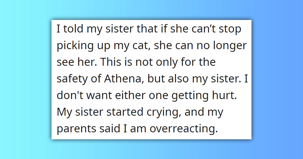 'She can no longer see her': Little Sister Plays Too Roughly With Sister's Maine Coon Scaredy Cat, Cries When Told She Can't See Her Anymore, Parents Take Little Sister's Side