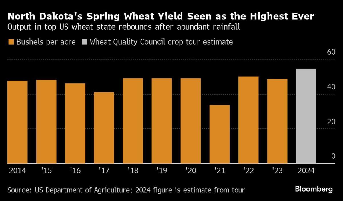 Wheat Supplies Set to Expand With Record North Dakota Yields