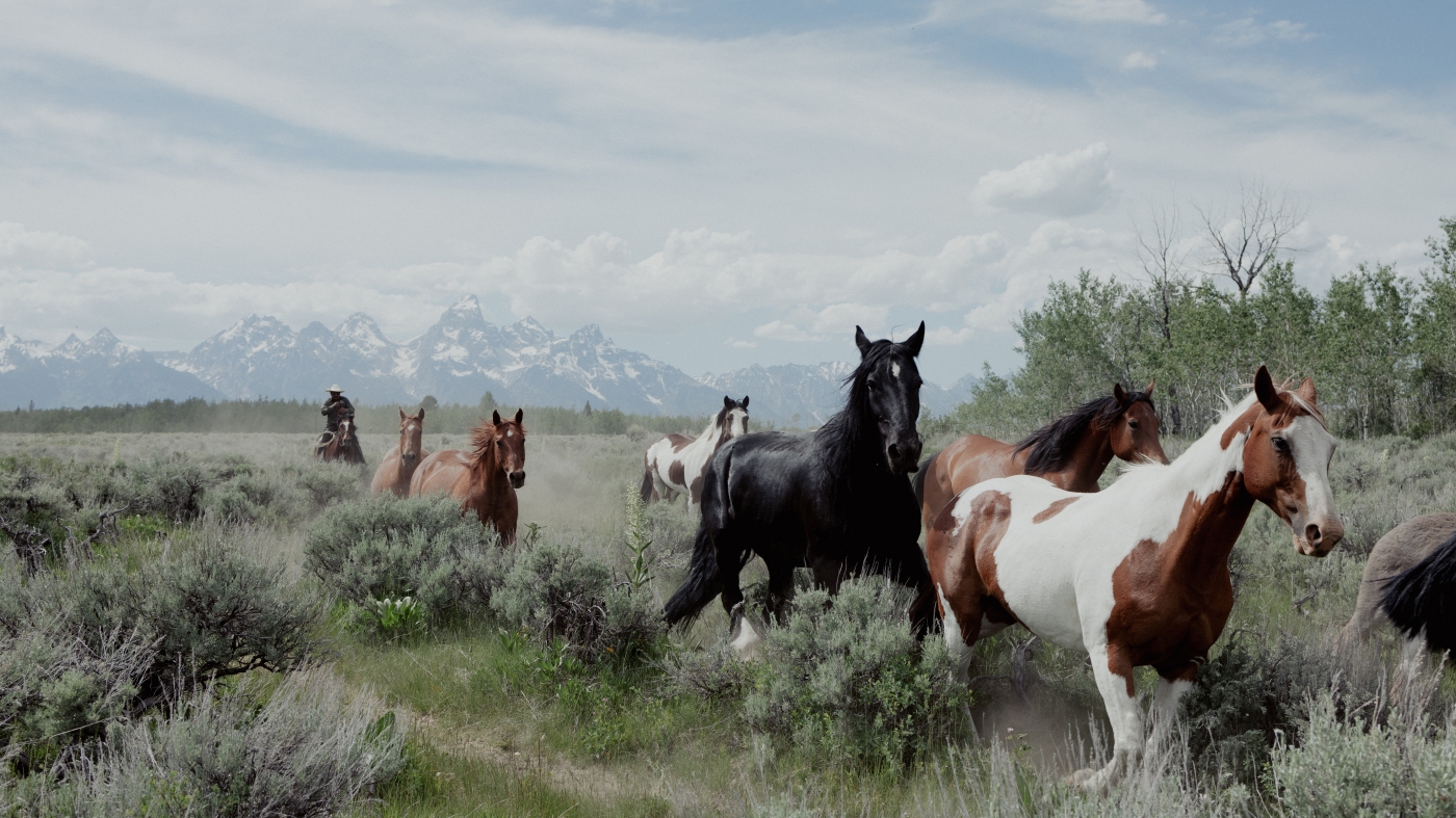 Wyoming offers to sell land to Grand Teton park -- or it could go to developers