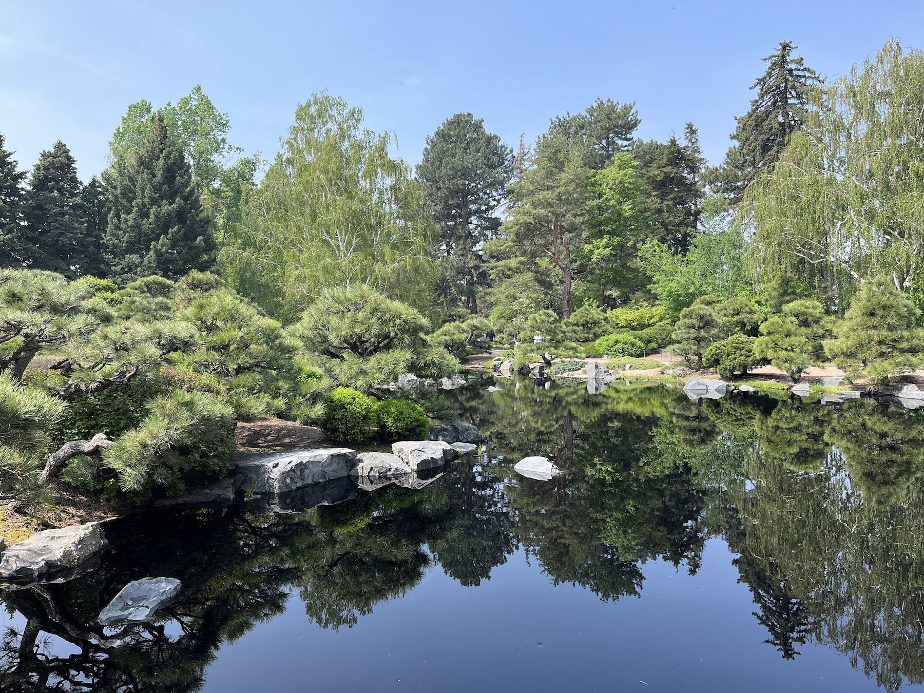 Study on tree adaptability to climate change finds overlapping potential niches