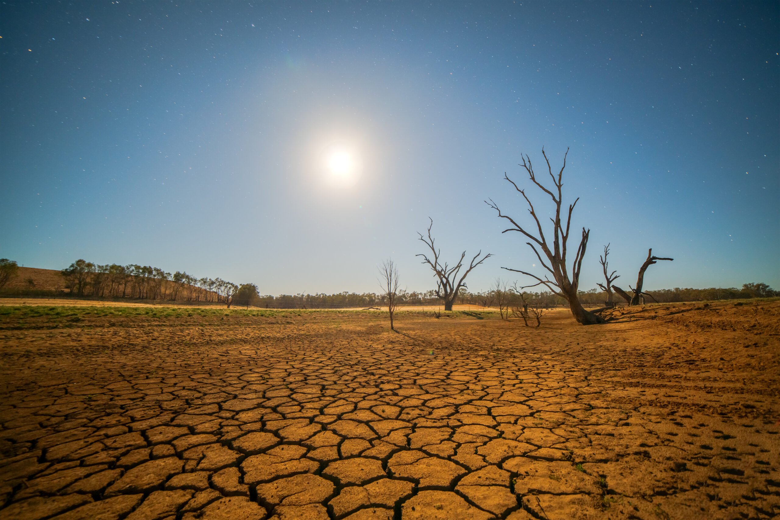 World Bank Eyes First ‘Drought’ Bond in Next 12-18 Months