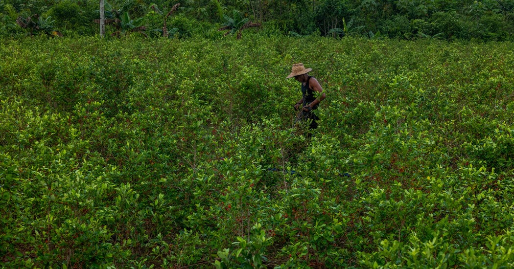 Colombia Faces New Problem: Too Much Cocaine...