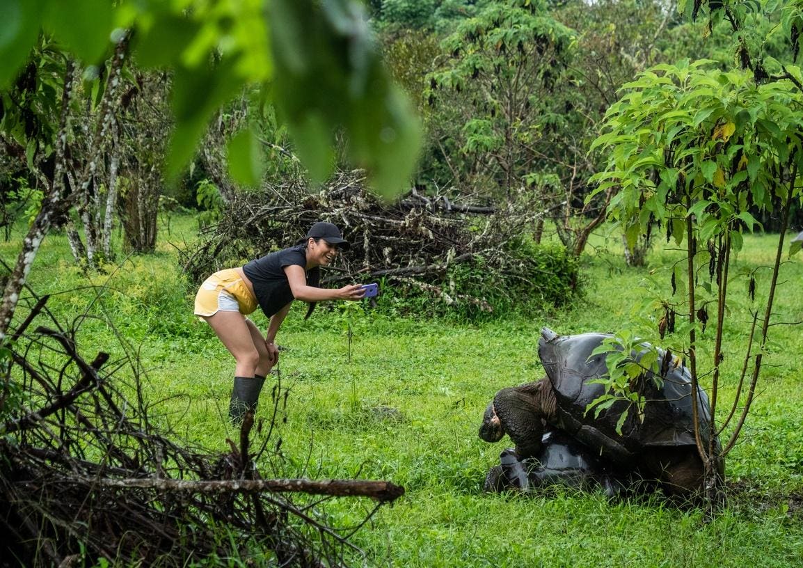 Ecuador’s Bargain of Conservation and Tourism in The Galapagos