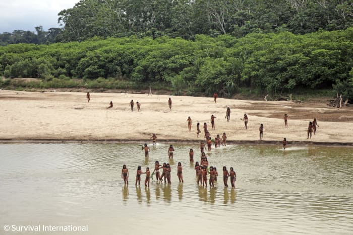 Reclusive tribe attacks loggers suspected of encroaching on their land in Peru's Amazon