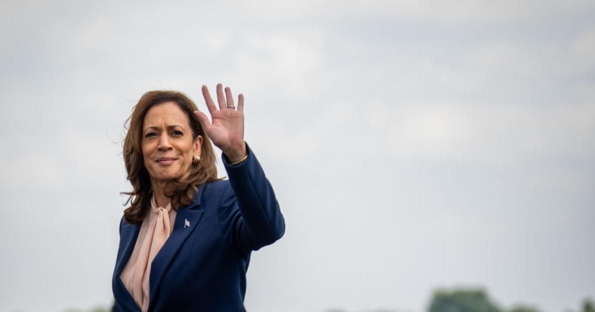 Kamala Harris Confronts Protesters at Wisconsin Rally: "If You Want Donald Trump..."