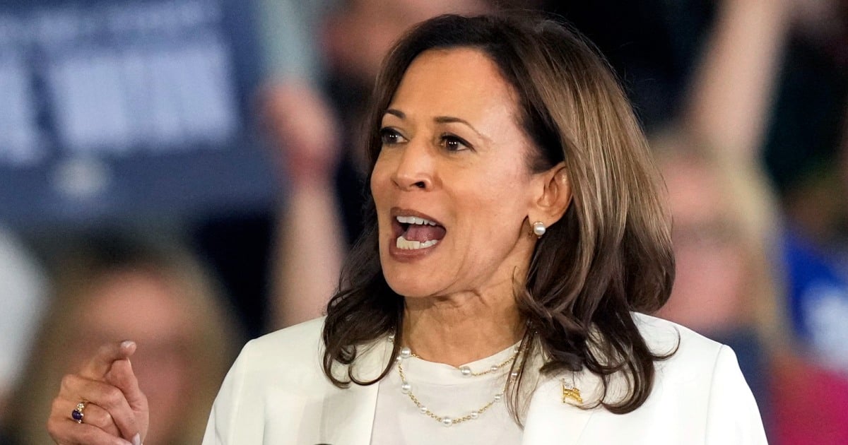 Kamala Harris rally in Michigan interrupted by pro-Palestinian protesters