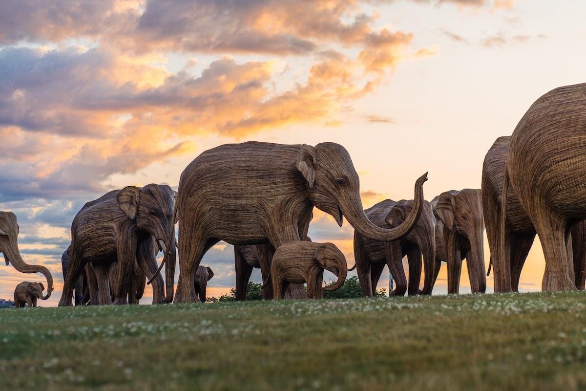 Migration Of 100 Life-Size Elephant Sculptures Will Make Stop In NYC