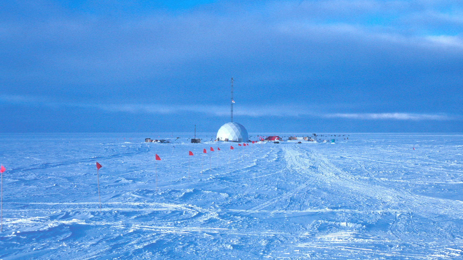 New fossils reveal an ice-free Greenland. It’s bad news for sea level rise.