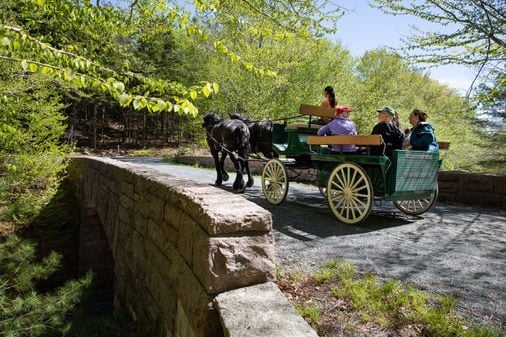 An Acadia tour for wheelchair users, plus outdoor fun in Colorado